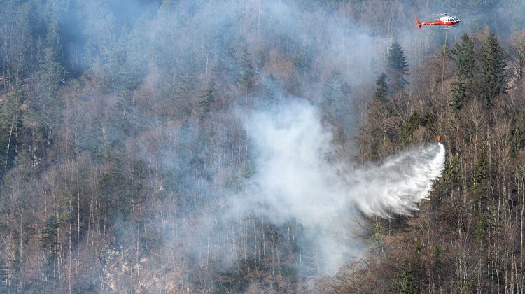 Unter anderem mit Helikoptern wurde am Sonntag und Anfang Woche ein Waldbrand bei Meiringen (BE) bekämpft. Föhn erschwerte die Löscharbeiten. (Keystone)