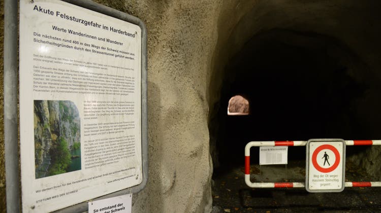 Zwischen Isleten und Bauen führt der Wanderweg durch den Harderband-Tunnel. (Bild: Urs Hanhart (Seedorf, 16. März 2022))