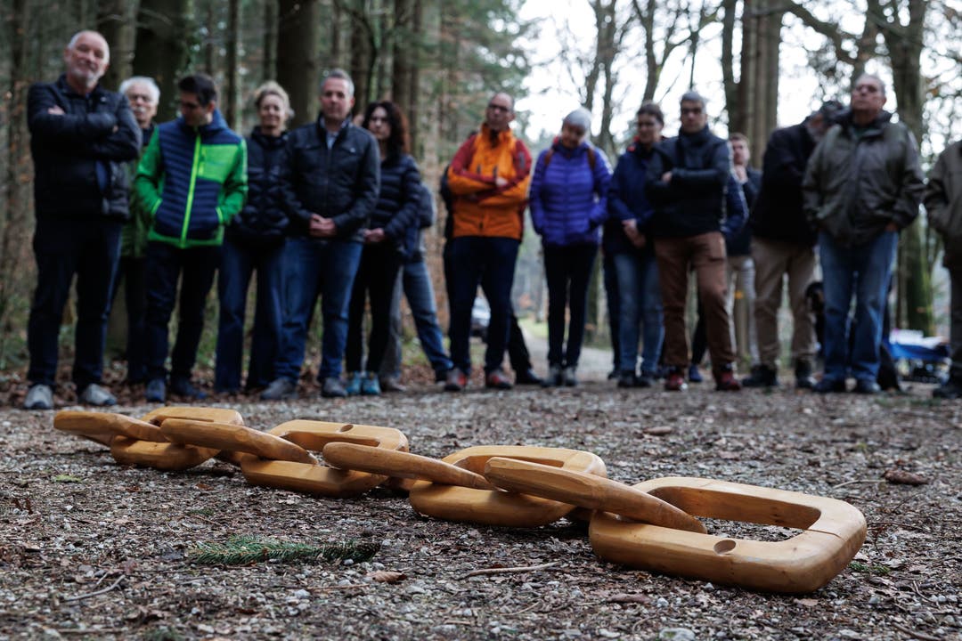 Waldbesuch organisiert von Pro Holz Solothurn: