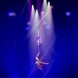 Lichtgeladene Show: Circus Knie erfolgreich in Tournee gestartet