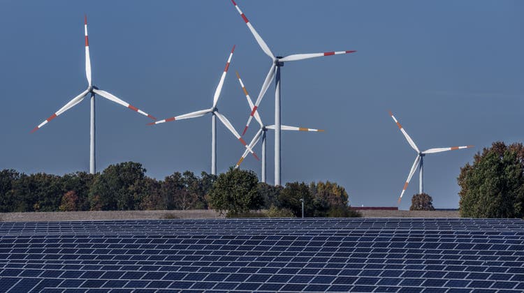 Laut Ember Climate produzierte die EU letztes Jahr insgesamt 623 Terawattstunden (TWh) aus Wind und Sonne. (Michael Sohn / AP)