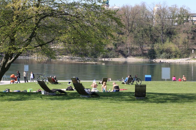 Der Stadtpark Ost in Rheinfelden liegt direkt am Rheinufer mit Blick auf die rechte, badische Flussseite und die chemischen Fabriken.