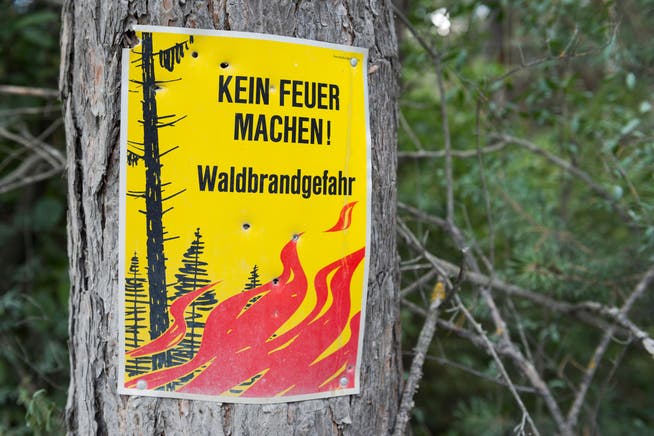 Wegen der grossen Trockenheit ist die Waldbrandgefahr erhöht.