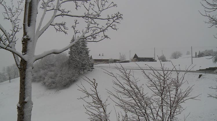 Winter Wonderland Bäretswil: Erneuter Wintereinbruch im Zürcher Oberland
