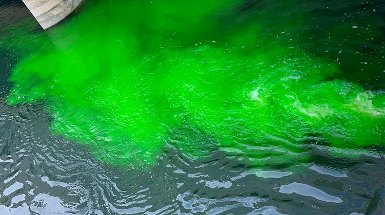 Für eine Kontrolle der Fischaufstiegshilfen beim Kraftwerk Dietikon wurde bei einem Färbversuch am 10. März die Limmat teilweise grün eingefärbt. (Mara Aliotta)