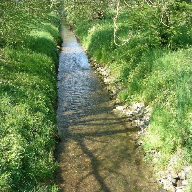 Die Bünz Soll In Othmarsingen Fischfreundlicher Werden