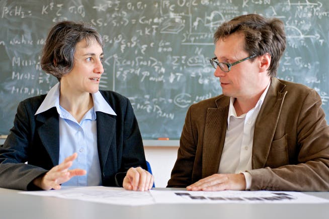 Laura Heyderman und Peter Derlet untersuchen magnetische Phasenübergänge in der Materie.