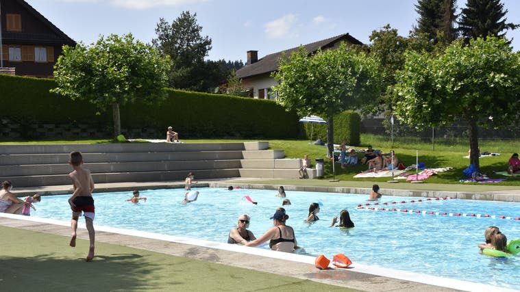 Die Badi Dietwil soll mit einem zusätzlichen Schwimmbecken ergänzt werden. (Melanie Burgener (20. Juli 2021))