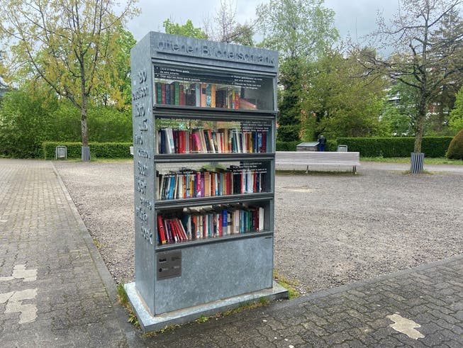 So sieht der Bücherschrank beim Gemeinschaftszentrum Telli aus. Weitere könnten bald in aller Aarauer Quartieren stehen.