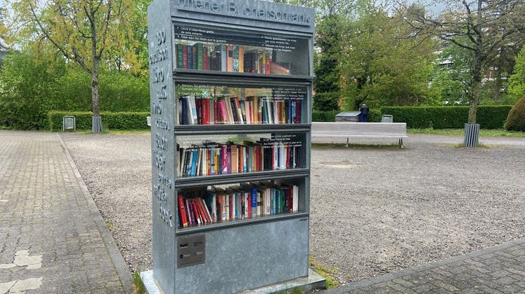 Offene Bücherschränke sollen an verschiedenen Standorten in der Stadt aufgestellt werden. (Im Bild: Bücherschrank beim Gemeinschaftszentrum Telli) (Soraya Sägesser / Archiv)