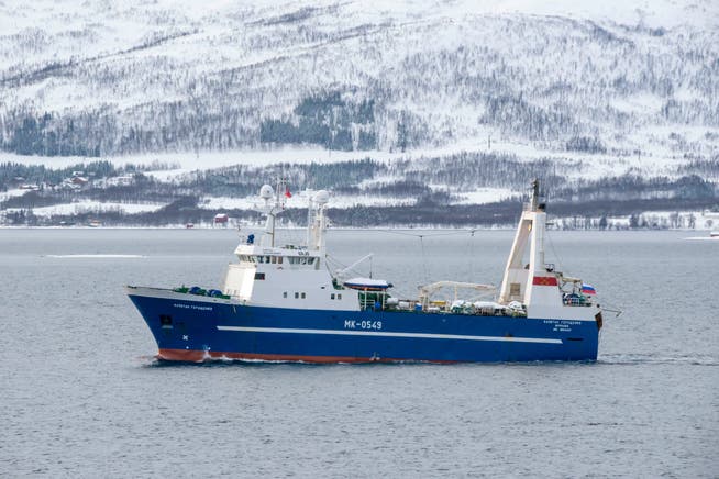 Ein russischer Trawler vor der norwegischen Küste: Trotz Ukraine-Krieg und EU-Sanktionen sind die Schiffe hier weiterhin willkommen.