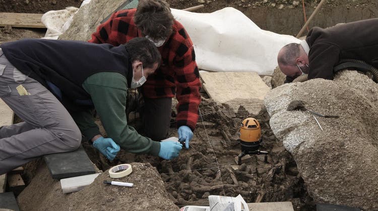 Der vor zehn Jahren entdeckte Fund im bernischen Oberbipp am Jurasüdfuss erwies sich als ein Glücksfall für die Archäologie. (HO)