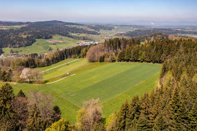 Hier auf dem Stierenberg sind drei Windkraftanlagen geplant.