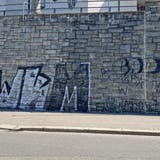 Die Zusammenfassung der besten Rücken aushängen gerät