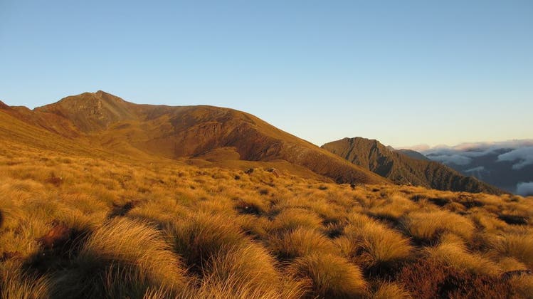 Jetzt könne Reisende wieder die Landschaft in Neuseeland bewundern. (Keystone)