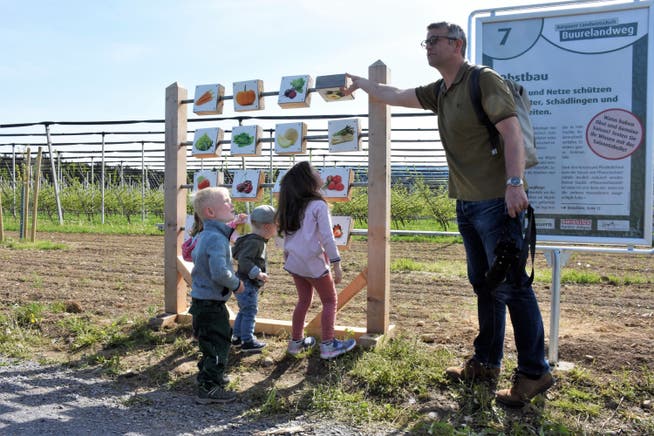 Der Buurelandweg bietet auch für Kinder spielerische und interaktive Informationsvermittlung. Patrick Schellenberg vom Bauernverband Aargau erklärt die Saisontabelle auf einem Rundgang.