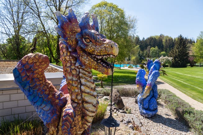 Die Zurzacher Drachen haben in Volketswil eine neue Heimat gefunden
