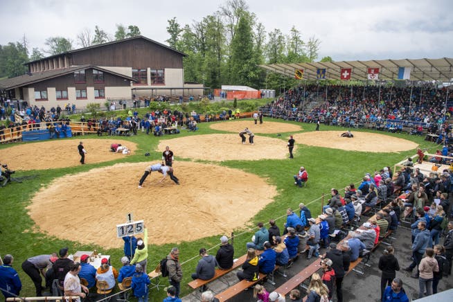 The wrestling arena: Around 3000 spectators are there.