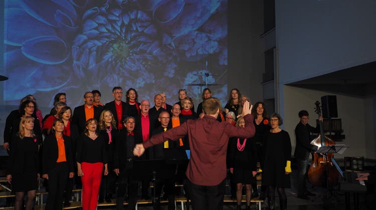 Jahreskonzert des Schönwerder Gospelchors «sing2gether»