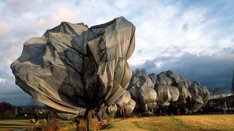 1998 machten Christo und Jeanne-Claude aus den Bäume im Park der Fondation Beyeler Kunstobjekte. (Florian Monheim)