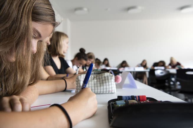 Mehr Schülerinnen und Schüler haben dieses Jahr im Kanton Zürich die Aufnahmeprüfung für das Gymnasium erfolgreich abgeschlossen.