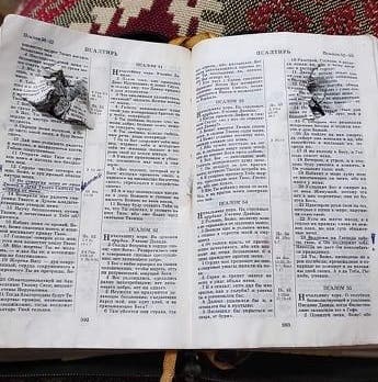 Sveta's Bible saved her life.