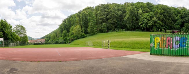 Anstelle des Rasenplatzes und des roten Platzes wünscht sich Thomi Bräm im Kappelerhof eine neue Sportanlage.