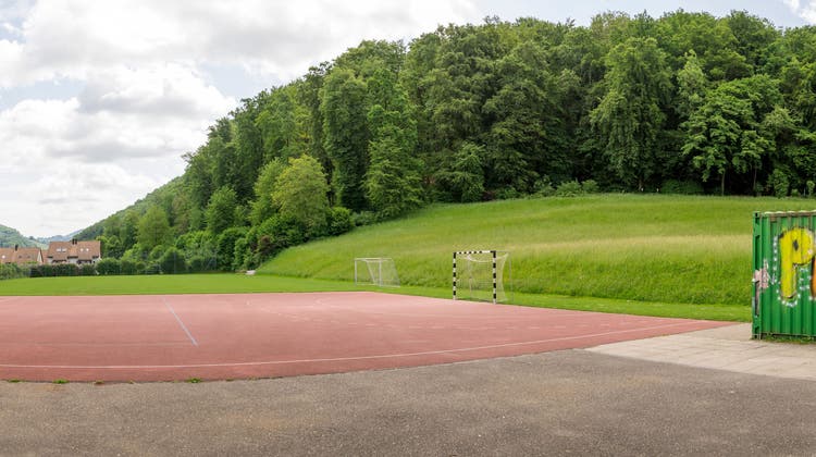 Anstelle des Rasenplatzes und des roten Platzes wünscht sich Thomi Bräm im Kappelerhof eine neue Sportanlage. (Alex Spichale)