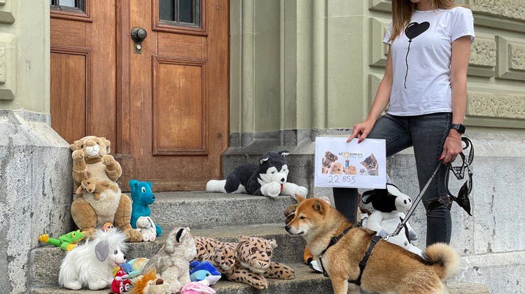 Mit Stofftieren vor die Bundeskanzlei: Den Unterzeichnenden geht es ums Tierwohl (Bild: Campax)