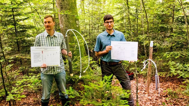 Sven Hopf und Simon Tresch vom Institut für Angewandte Pflanzenbiologie demonstrieren, wie sie das Bodenwasser untersuchen.