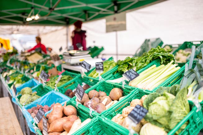 Sustainable nutrition: a citizen council must show possible solutions for the policy.