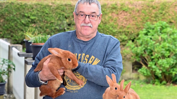 Bernhard Pauli aus Neuendorf züchtet seit 32 Jahren Kaninchen der Rasse Sachsengold. Natürlich habe er Freude an schönen Tieren, aber es gehe ihm nicht um Punkte oder Medaillen. (Bruno Kissling)