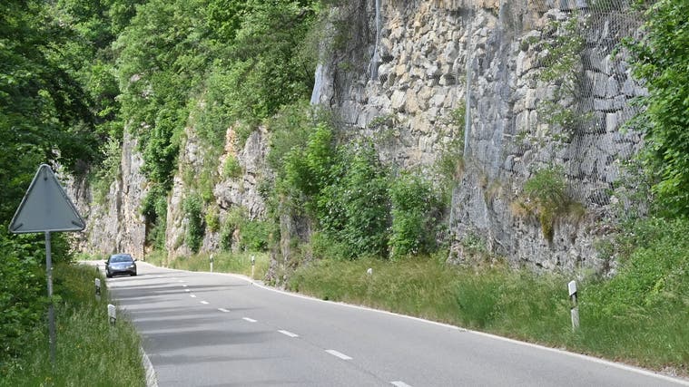 Zwischen Trimbach und Hauenstein wird im Sommer eine Felswand mit Steinschlagschutznetzen gesichert. (Bruno Kissling)