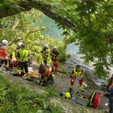 Frau wird durch umgestürzten Baum verletzt ++ Autofahrer stirbt nach Unfall ++ Mann wird tätlich angegriffen