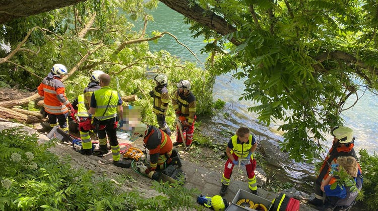 In Olten ist am Donnerstagmittag ein Baum am Salzhüsliweg umgestürzt und hat dabei eine Frau getroffen. (Kapo Solothurn)