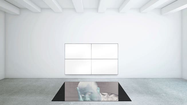 Emmanuel Van der Auwera: «VideoSculpture XIV (Shudder)», 2017.