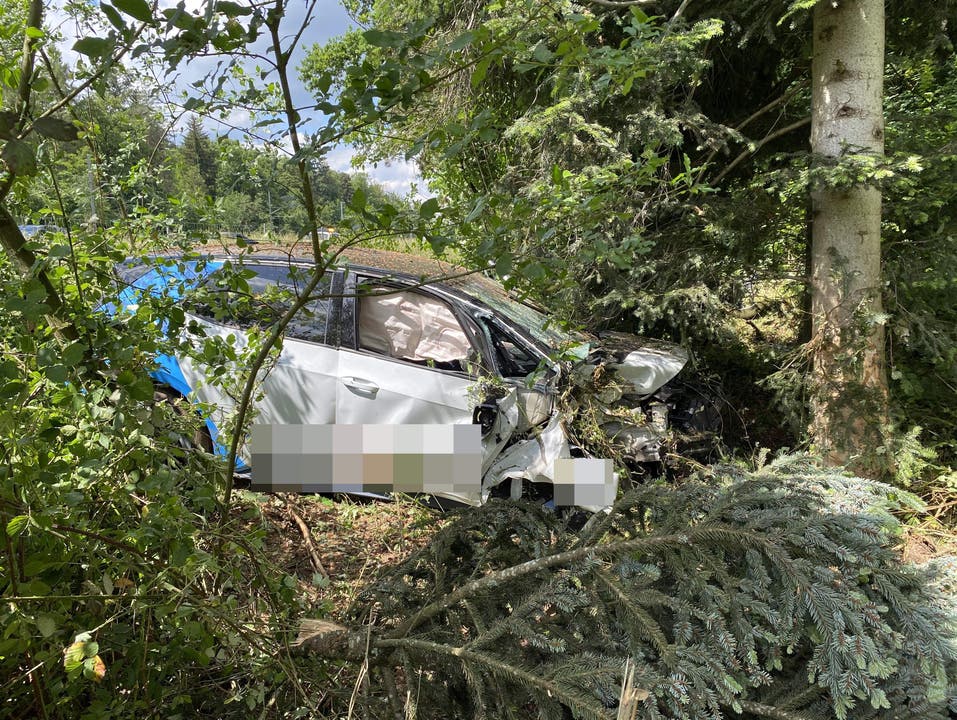Lenzburg, 29. Mai: Ein Autofahrer verlor auf der A1 die Kontrolle über sein Fahrzeug und kam von der Fahrbahn ab.