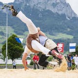 Die besten Auswahlmöglichkeiten - Suchen Sie hier die Luzerne pur Ihrer Träume