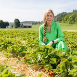 Christina Huber auf ihrem Erdbeerfeld in Urdorf. Nach dem Grossbrand im Industriequartier Spreitenbach befürchtet sie, dass Giftstoffe freigesetzt wurden, welche ihre Erdbeeren kontaminiert haben könnten. (Severin Bigler / CH Media)