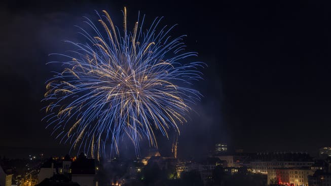 Die einen freut's, die anderen nervt's: Das Feuerwerk anlässlich der Basler Bundesfeier am 31. Juli 2019.