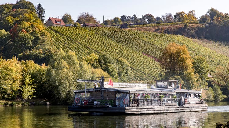 Auf dem Neckar in Deutschland ist schon ein vergleichbares Floss unterwegs. Das Laufenburger soll aber zwei Decks haben. (Bild: Maks Richter)