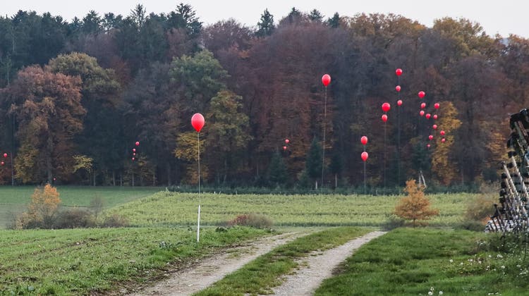 Mit einer Ballon-Aktion begann die Mobilisierung der IG Nein zur Aushubdeponie Steindler/Teufermoos. (7. November 2020) (zvg)