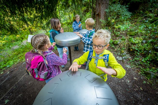 Der Klangweg Toggenburg zwischen Wildhaus Oberdorf und der Alp Sellamatt oberhalb Alt St. Johann soll neugestaltet werden.