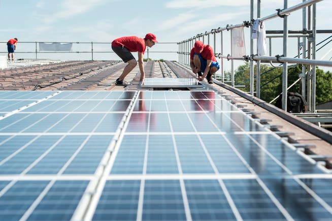Solarzellen sollen auf den Dächern des Rheintals montiert werden, um die Energieproduktion zu steigern.