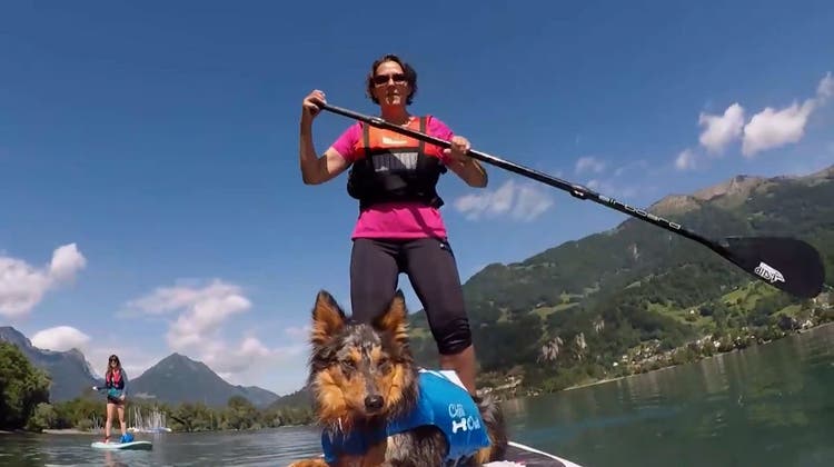 «Megaschön und sehr entspannend»: SUP-Hundekurse auf dem Walensee sind beliebt