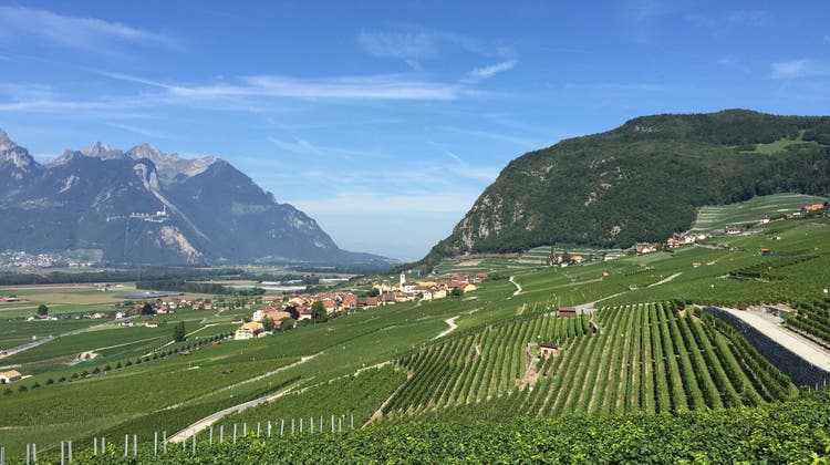 Weinreise in die Westschweiz mit Toni Ottiger – August 2022