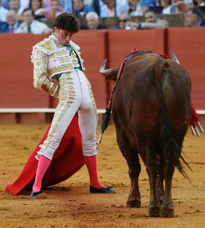 Kaum ein Bild, das den Machismus im Land besser darstellt: Spaniens Stierkämpfer.