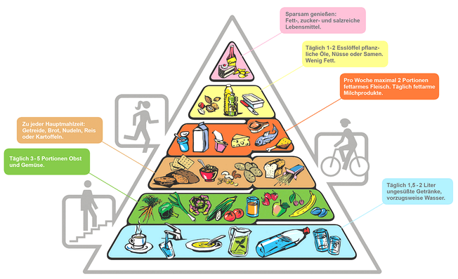 The nutritional recommendations of the Swiss Society of Nutrition.