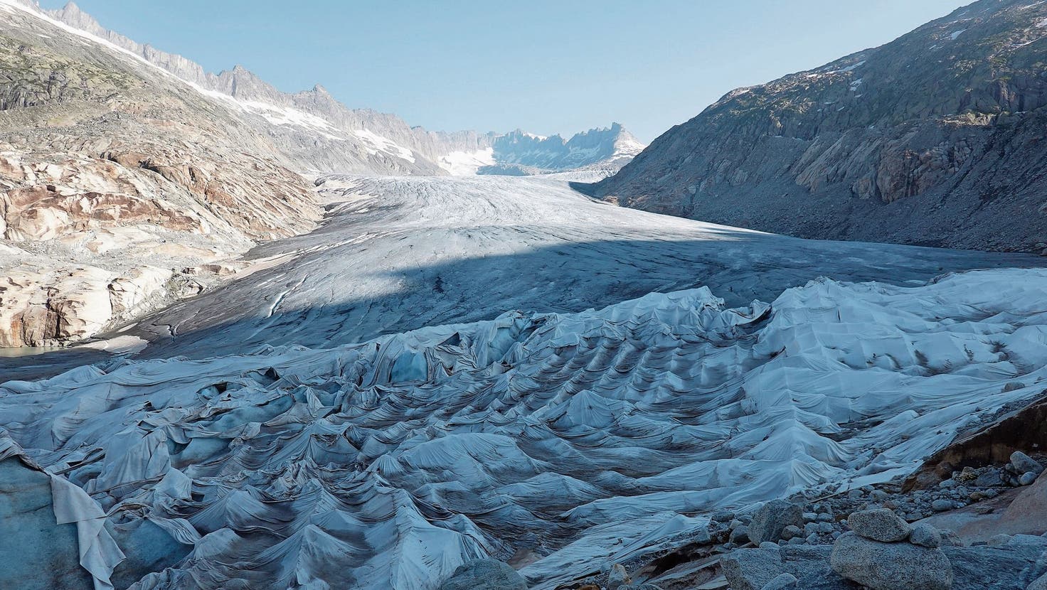 Das heimliche Leben im ewigen Eis: Gletscherflöhe gibt es wirklich