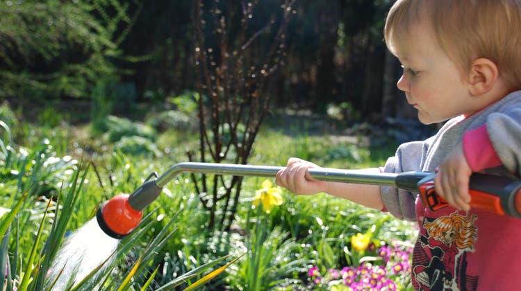 In Dintikon nur noch gezielt und sparsam erlaubt: Ein Bub giesst Blumen im Garten. (Bild: Fotolia/Jörn Buchheim)